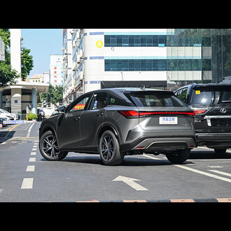 Lexus RX 2025 300 4WD Junxiang Edition, 2025