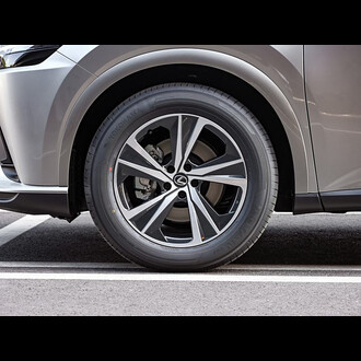 Lexus RX 2025 300 4WD Junxiang Edition, 2025