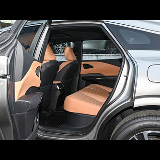 Lexus RX 2025 300 4WD Junxiang Edition, 2025