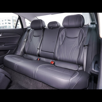 Volkswagen Passat 2025 Pro 380TSI Starry Sky Dragon Edition