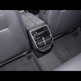 Volkswagen Passat 2025 Pro 380TSI Starry Sky Dragon Edition